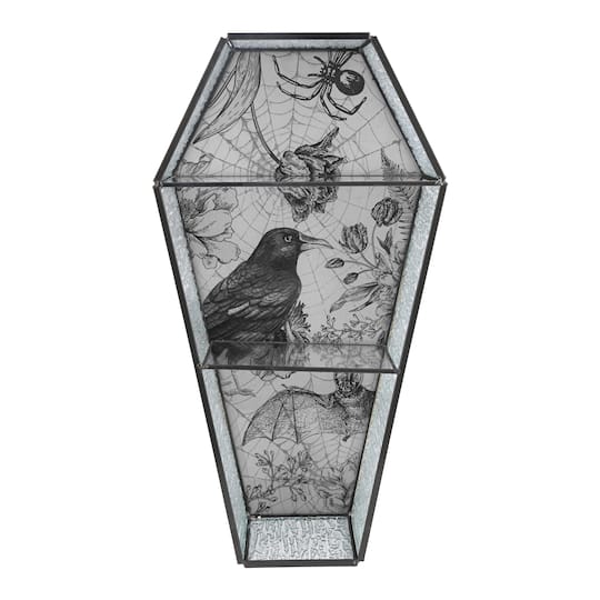 Glass Coffin Shelf by Ashland